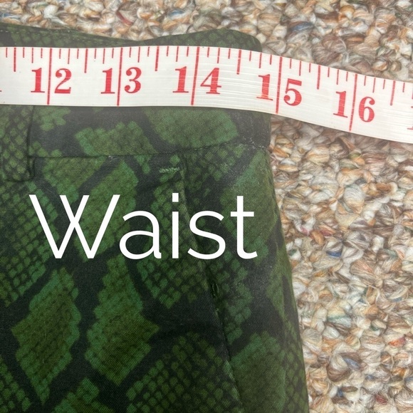 Michael Kors Green Snakeskin Pants Size 2 - Picture 3 of 9